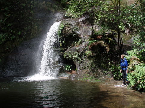 Blue Mountains Adventure Company - Attractions 1