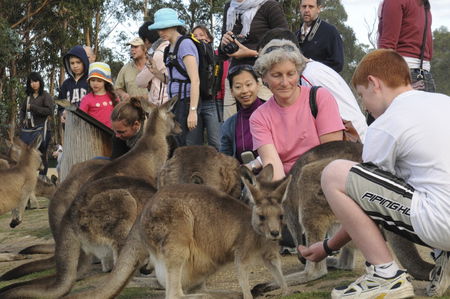 East Coast Natureworld - Attractions 4