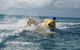 Aquavue Cafe Watersports - thumb 9