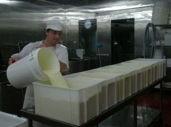 Witches Chase Cheese Co - Attractions 1