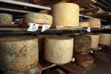 Witches Chase Cheese Co - Attractions 3