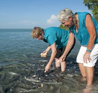Aquascene Fish Feeding Sanctuary - Attractions