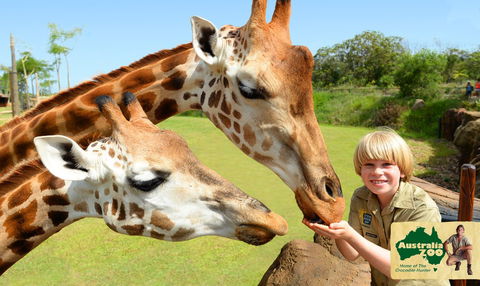 Australia Zoo - Attractions 4