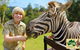 Australia Zoo - thumb 5