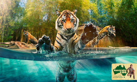 Australia Zoo - Attractions 9