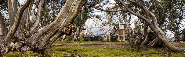 High Country Scenic Tours - Attractions