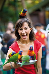 Currumbin Wildlife Sanctuary - Attractions Las Vegas 10