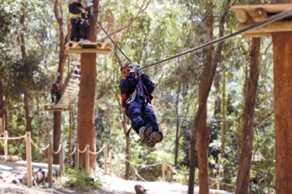 Currumbin Wildlife Sanctuary - Attractions Las Vegas 11