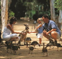 Billabong Sanctuary - Attractions