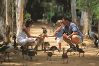 Book Townsville Accommodation Vacations Attractions Attractions