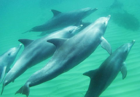 Rockingham Wild Encounters - Attractions 4