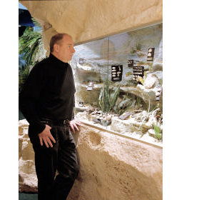 The National Opal Collection - Attractions 5