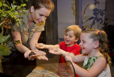 WILD LIFE Sydney Zoo - Attractions 1