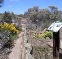 Christmas Rock Walk - Attractions