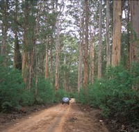 Boranup Drive - Attractions