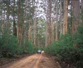 Boranup Drive - Attractions 0