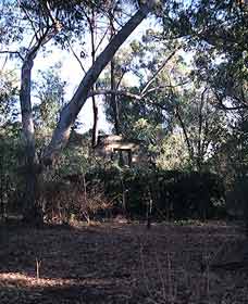 Ghost House Walk Trail, Yanchep National Park - Attractions 0