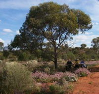Karlkurla Bushland Park - Attractions