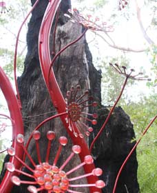 Crowea WA Attractions