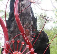 Understory Art In Nature - Attractions