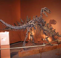 Denmark Dinosaur World - Attractions