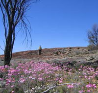 Talgomine Reserve - Attractions
