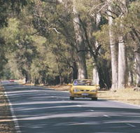 Ludlow Tuart Forest - Attractions