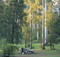 Big Brook Arboretum - Attractions