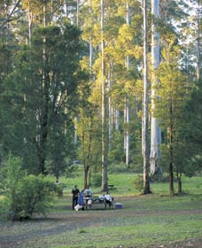 Big Brook Arboretum - Attractions 0
