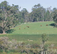 Scenic Drives - Bunbury Collie Donnybrook - Attractions