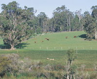 Scenic Drives - Bunbury Collie Donnybrook