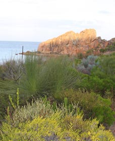 Meelup Trail - Attractions 0