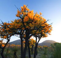 Cape Le Grand National Park - Attractions