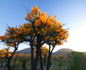 Cape Le Grand National Park - Attractions 0