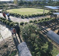 Kojonup Rose Maze - Attractions