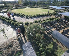 Kojonup Rose Maze - Attractions 0