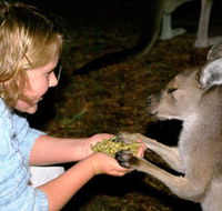 Discovery Bay's Walk on the Wild Side - Attractions
