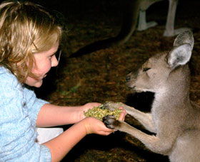 Discovery Bay's Walk On The Wild Side - Attractions 0