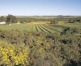 Chapman Valley Scenic Drive - Attractions 0