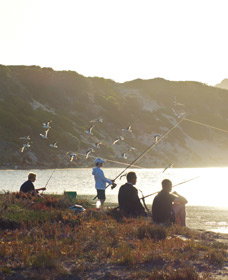 Culham Inlet - Attractions 0