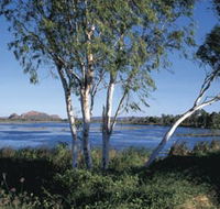 Celebrity Tree Park - Attractions