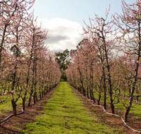 Raeburn Orchards - Attractions
