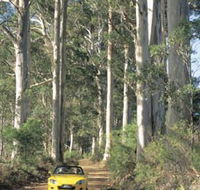 Mount Shadforth Scenic Drive - Attractions