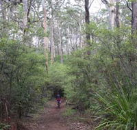 Margaret River Rails Trail - Attractions