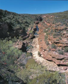 Ross Graham Lookout - Attractions 0