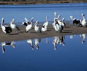 Peel Region Canoe Trails - Attractions 0