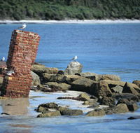 Whalers Beach - Attractions