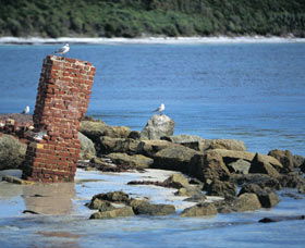 Whalers Beach - Attractions 0
