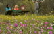 Gwambygine Park - thumb 0