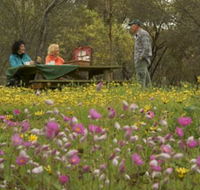 Gwambygine Park - Attractions